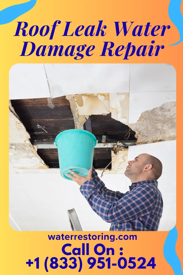 Roof Leak Water Damage Repair in Waskom, TX